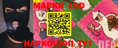 мяу мяу мука Будённовск